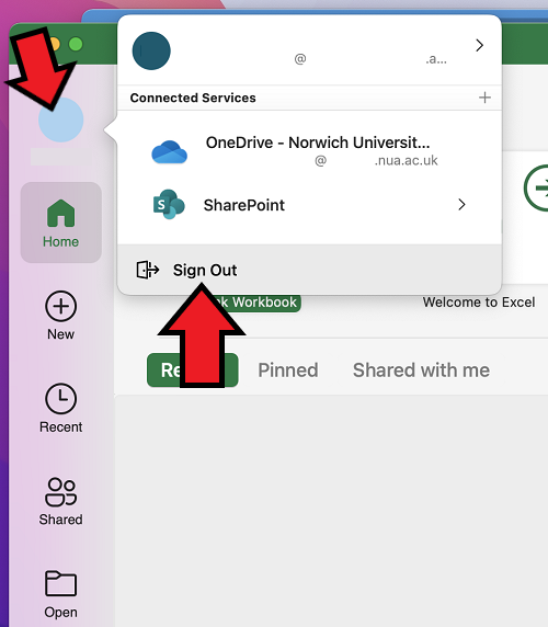 Screenshot of Excel for Mac dashboard.