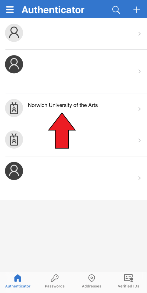 Screenshot Auth app account list.